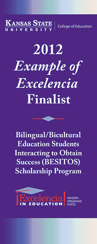 Example of Excelencia banner