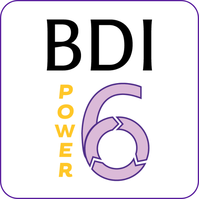 BDI Power 6