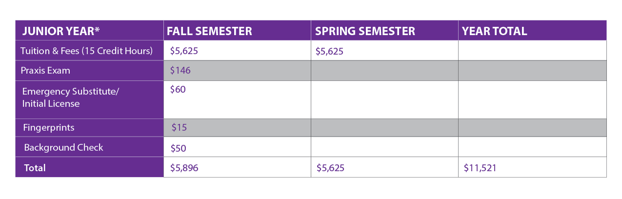Junior Year Tuition and Fees