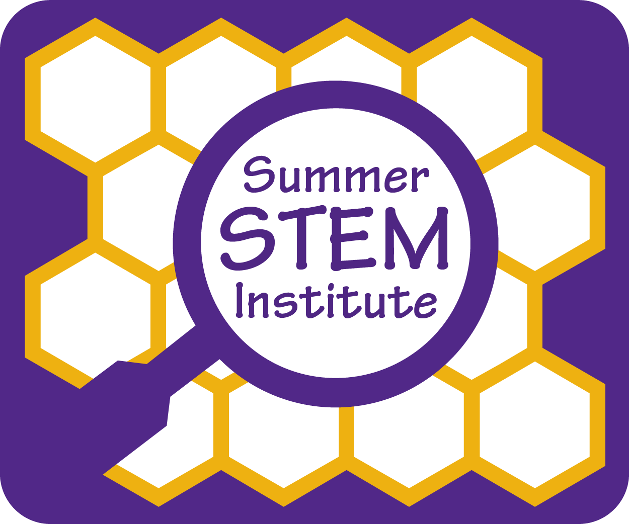 Summer STEM Institute button